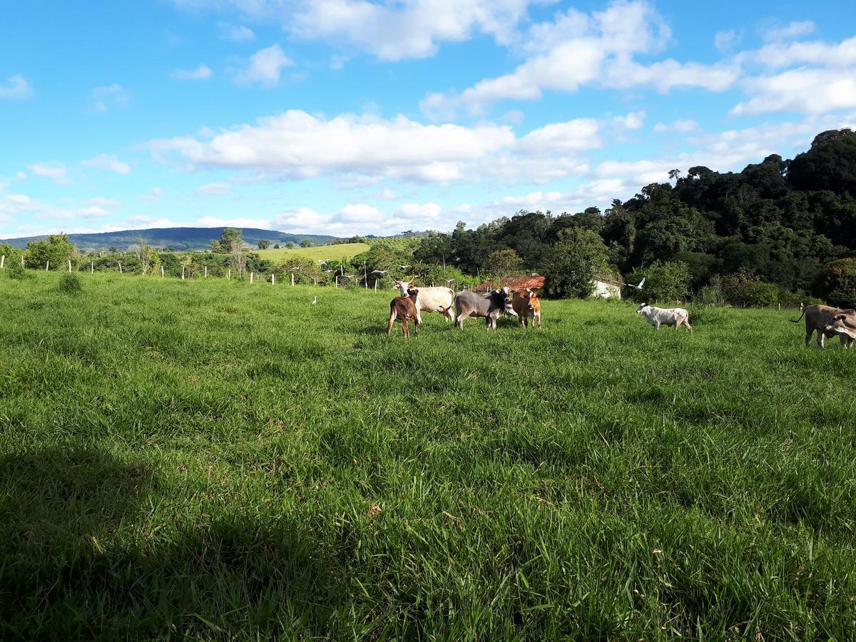 Chácara Leolud Vila Socorro  Exterior foto