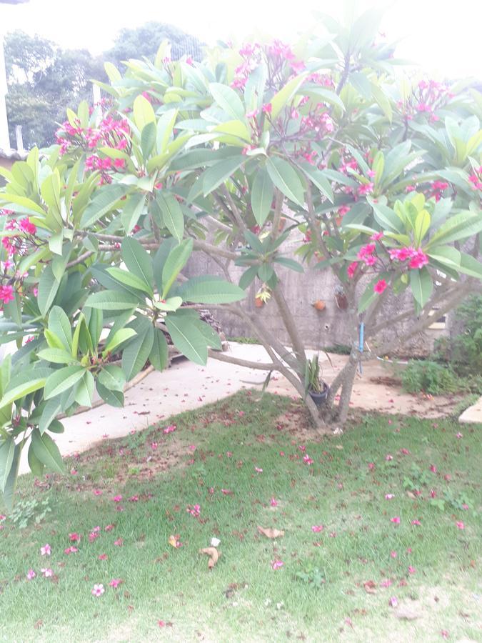 Chácara Leolud Vila Socorro  Exterior foto