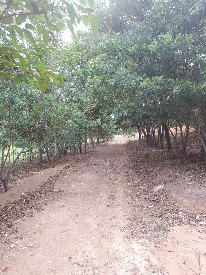 Chácara Leolud Vila Socorro  Exterior foto